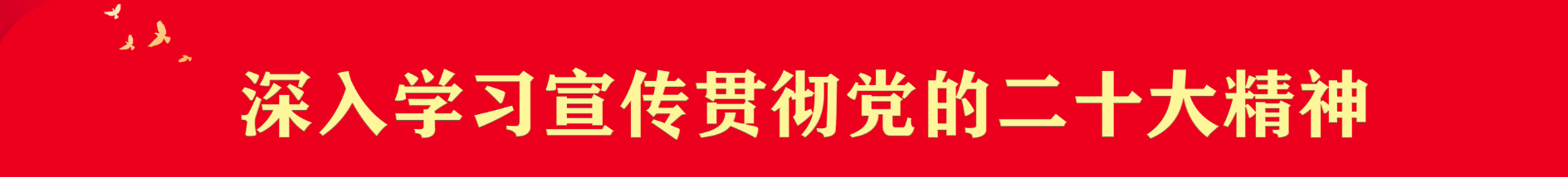 二十大精神.png